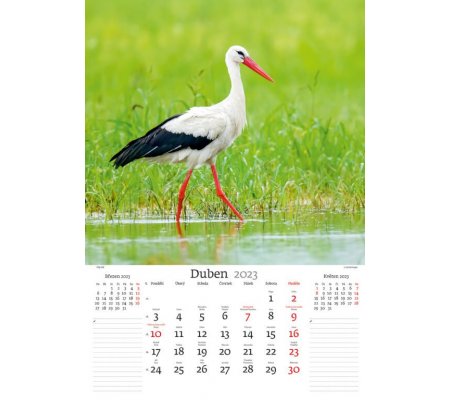 Kalendář Naše příroda