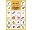Pexeso Ovoce a zelenina - učíme se anglicky