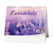 Kalendář Levandule
